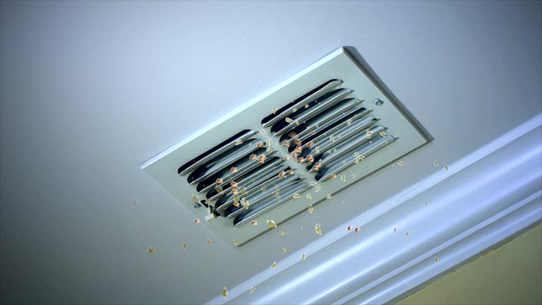Best Air Vent Cleaning Services  in Shallowater, TX